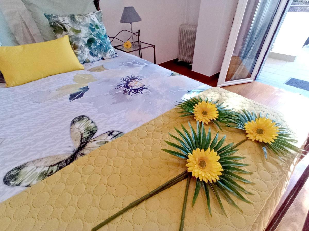 Apartment Garden's Funchal (Madeira)